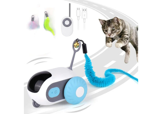 Spielzeug-Flitzer für Katzen